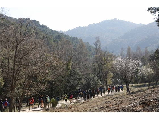 Ruta de senderismo de la Diputación de Albacete en Bienservida